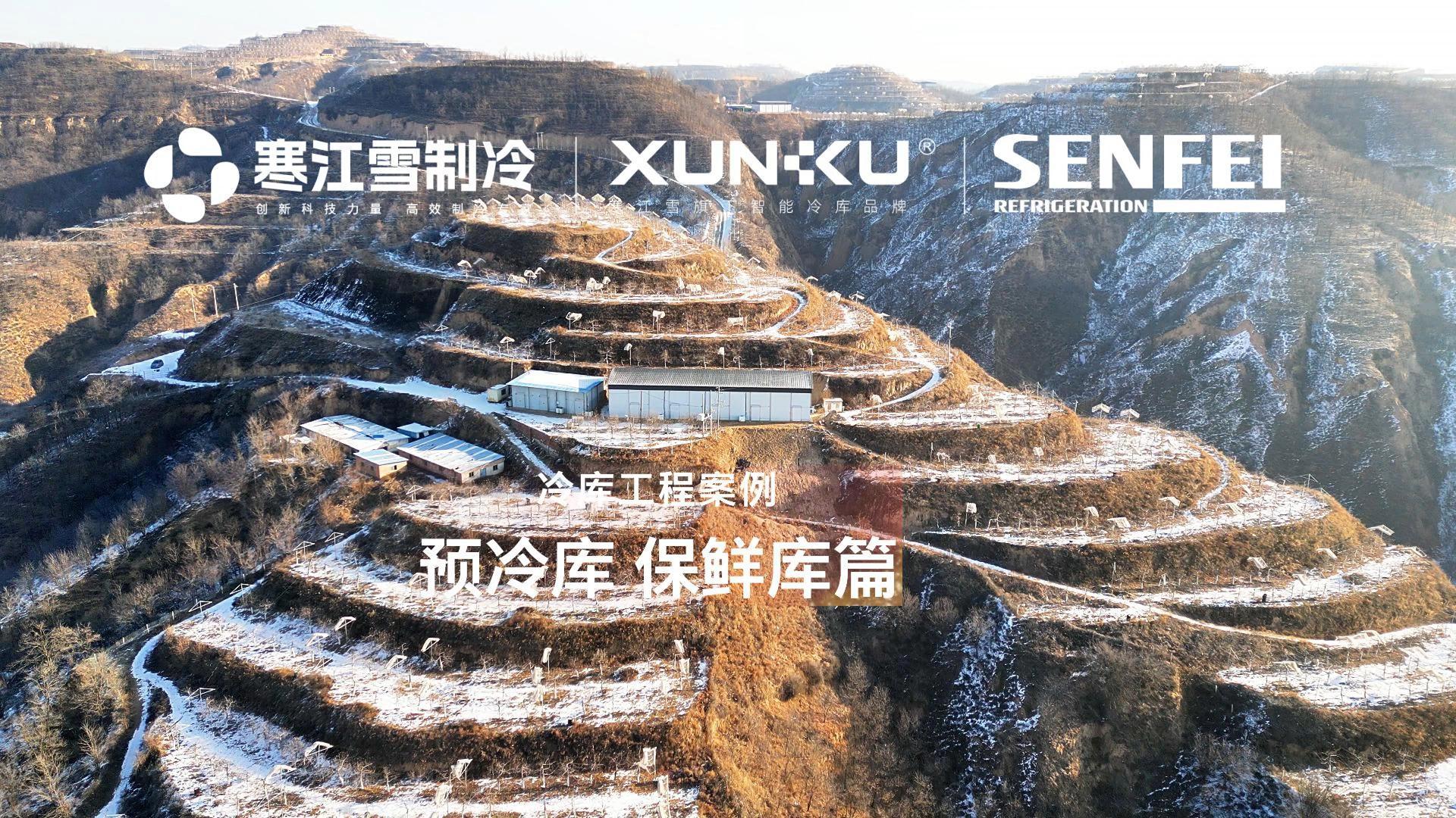 延安子长苹果 “鲜” 机十足！寒江雪 75 座冷库 + 热氟化霜技术，锁住果农好收益